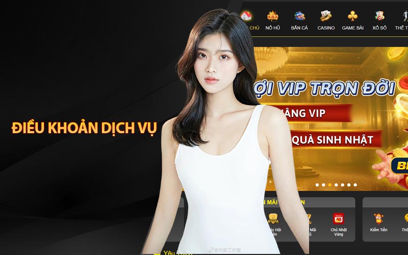 Giới Thiệu Tổng Quan Về Điều Khoản Dịch Vụ Tại Nhà Cái Betvnd